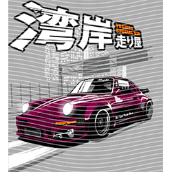Car-CA 536